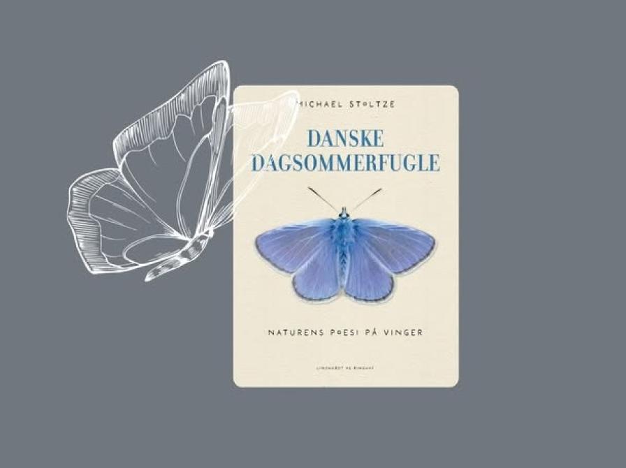 Michael Stoltze: Danske dagsommerfugle: Naturens poesi på vinger